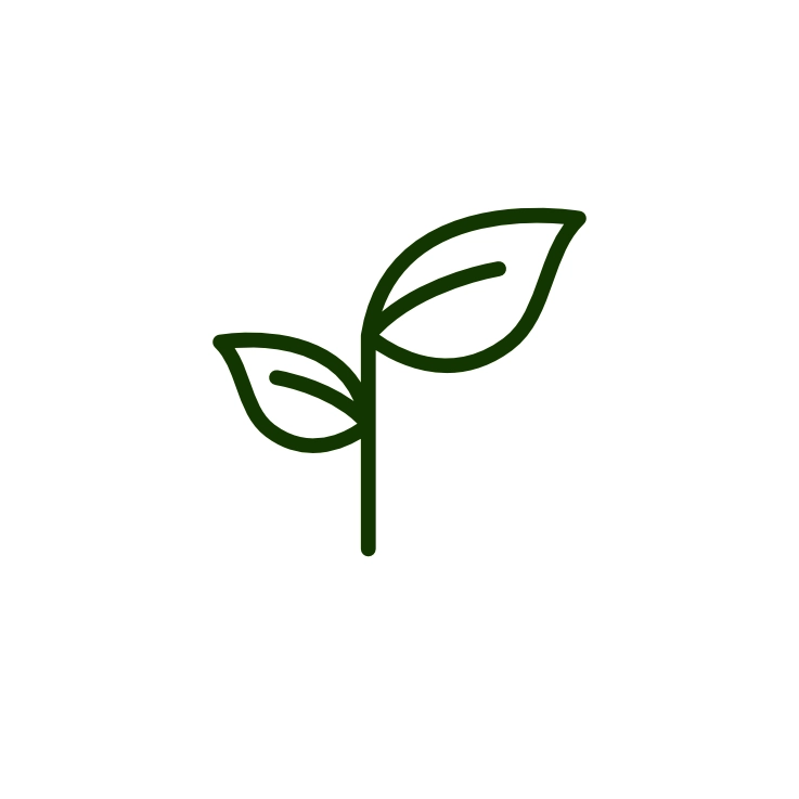 Environment & Sustainability