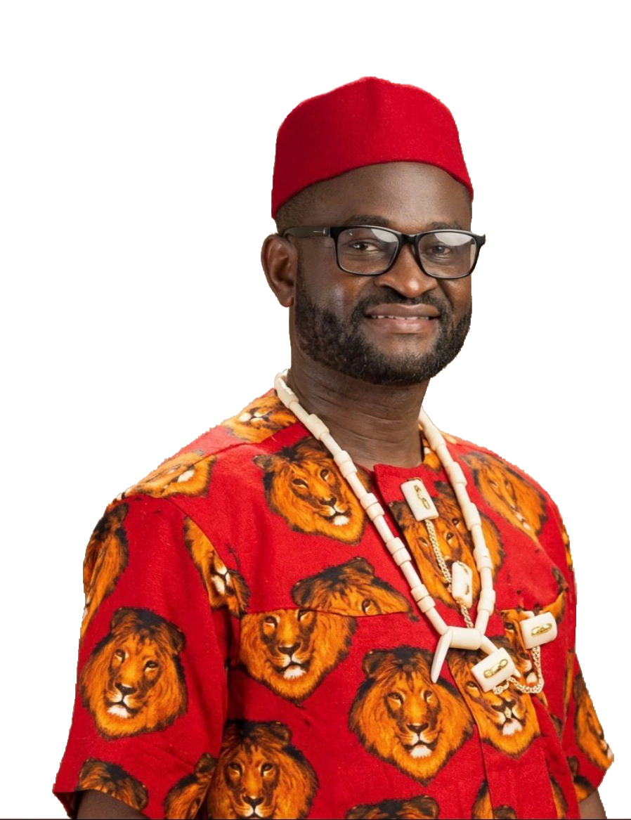 uche abara hero section Imo East senatorial 2027